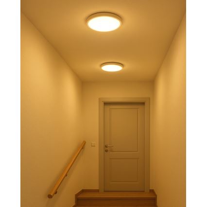 Plafonnier LED 18 W/230 V 3000/4000/6500 K Ø 23 cm blanc