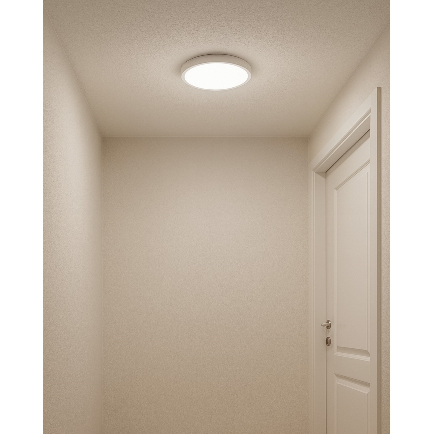 Plafonnier LED 18 W/230 V 3000/4000/6500 K Ø 23 cm blanc