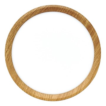 Plafonnier LED/18W/230V 3000/4000/6500K Ø 23 cm beige