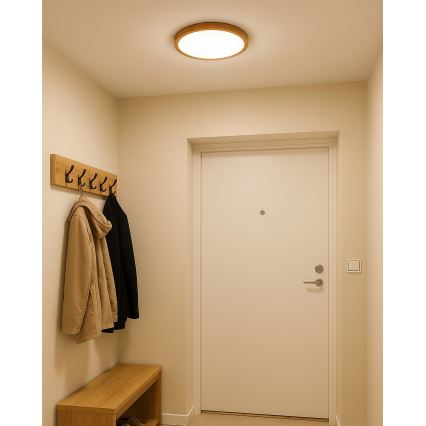 Plafonnier LED/18W/230V 3000/4000/6500K Ø 23 cm beige