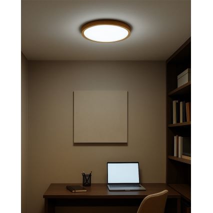 Plafonnier LED/18W/230V 3000/4000/6500K Ø 23 cm beige