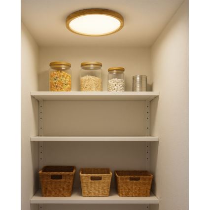 Plafonnier LED/18W/230V 3000/4000/6500K Ø 23 cm beige