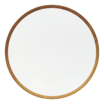 Plafonnier LED 40 W/230 V 3000/4000/6500 K Ø 50 cm beige