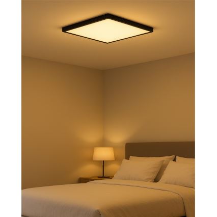 Plafonnier LED 40W/230V 3000/4000/6500K 50x50 cm noir