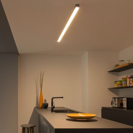 Plafonnier LED ALLDAY BASIC LED/20/30/40W/230V 2700/4000/6000K 120 cm noir