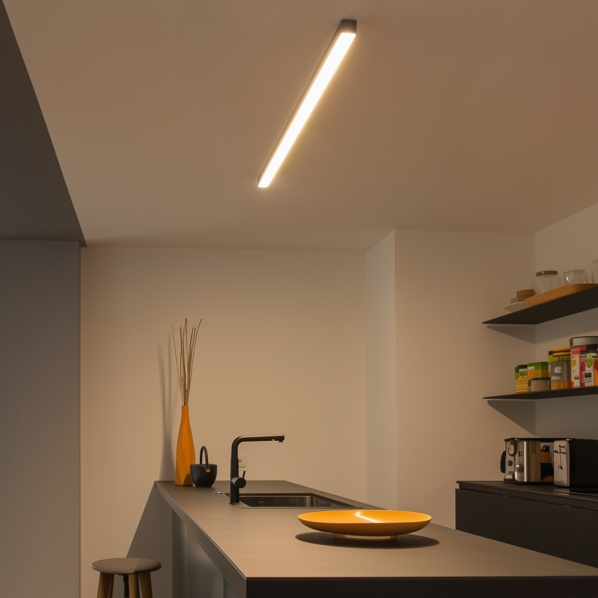 Plafonnier LED ALLDAY BASIC LED/40W/230V 2700/4000/6000K noir