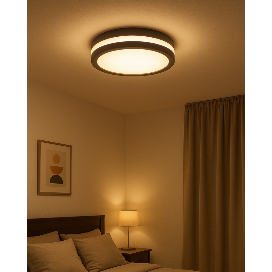Plafonnier LED pour salle de bains avec détecteur de mouvement, 20W/230V, 3000/4000/6500K, Ø 23 cm, IP54, anthracite