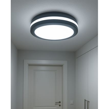 Plafonnier LED pour salle de bains avec détecteur de mouvement, 20W/230V, 3000/4000/6500K, Ø 23 cm, IP54, anthracite