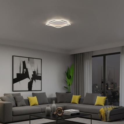 Plafonnier LED CALI LED/30W/230V 40x40 cm noir