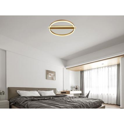 Plafonnier LED dimmable 60W/230V 3000-6500K + télécommande