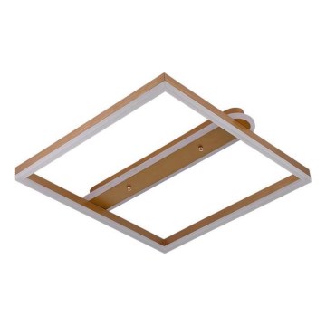 Plafonnier LED dimmable 60W/230V 3000-6500K + télécommande