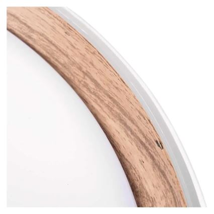 Plafonnier LED dimmable ILVI 30W 230V 2700-6500K Ø 40 cm blanc/beige + télécommande