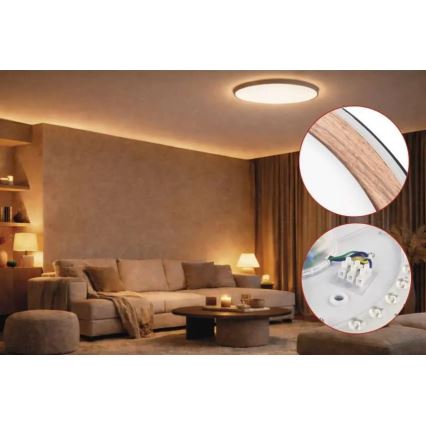 Plafonnier LED dimmable ILVI LED/30W/230V 2700-6500K Ø 40 cm noir/beige + télécommande