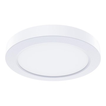 Plafonnier LED EVORA, 6 W, 230 V, 3000/4000/6000 K, Ø 14 cm, blanc