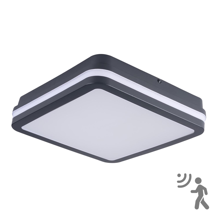 Plafonnier LED extérieur avec détecteur BENO LED/24W/230V 4000K IP54 anthracite