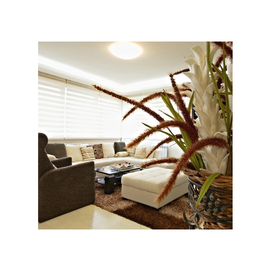 Plafonnier LED extérieur NELA LED/20W/230V IP44