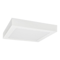 Plafonnier LED FENIX LED/12W/230V 3800K 17 cm neige blanc