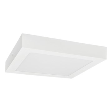 Plafonnier LED FENIX LED/12W/230V 3800K 17 cm neige blanc