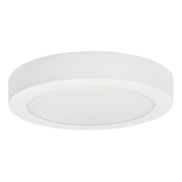 Plafonnier LED FENIX LED/24W/230V 3800K d. 29,8 cm neige blanc