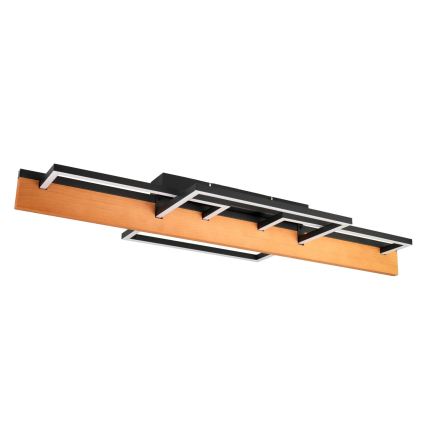 Plafonnier LED LARYSA LED/35W/230V 35x90 cm pin