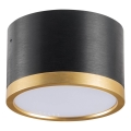 Plafonnier LED MIRELLA 1xGX53/6W/230V noir/doré