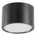 Plafonnier LED MIRELLA 1xGX53/6W/230V noir
