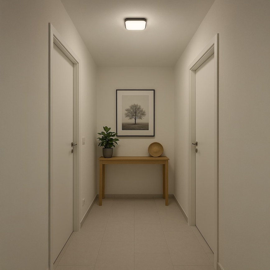 Plafonnier LED NEMO LED/11W/230V 26x26 cm noir