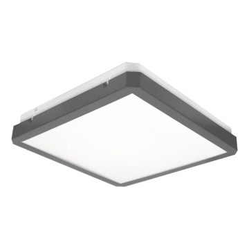 Plafonnier LED RAVA avec capteur de mouvement et détecteur crépusculaire LED/38W/230V 4000K 41x41 cm anthracite
