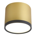 Plafonnier LED TUBA LED/9W/230V