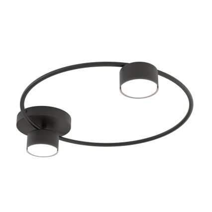 Plafonnier LUCIO 2xGX53/12W/230V noir