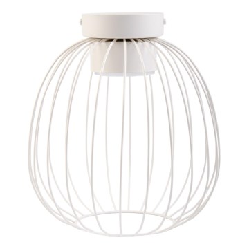 Plafonnier OVELLA 1x GX53/10W/230V Ø 25 cm crème