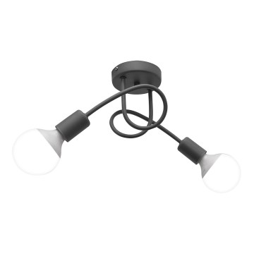Plafonnier OXFORD 2xE27/15W/230V gris