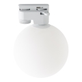 Plafonnier pour système de rail monophasé TRACER 1xG9/8W/230V blanc