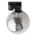 Plafonnier pour système de rail monophasé TRACER 1xG9/8W/230V noir/fumé noir