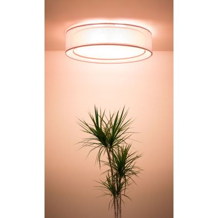 Plafonnier PURO 2 x E27, 40 W, 230 V, Ø 60 cm, rose