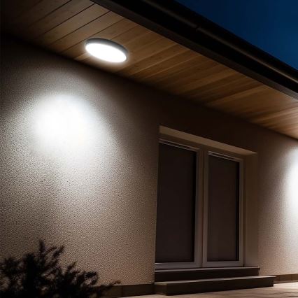 Plafonnier salle de bain LED/24W/230V 6500K IP44 d. 29,5 cm noir