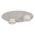 Plafonnier STAR 2xGX53/12W/230V beige
