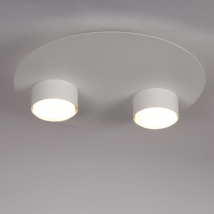 Plafonnier STAR 2xGX53/12W/230V blanc