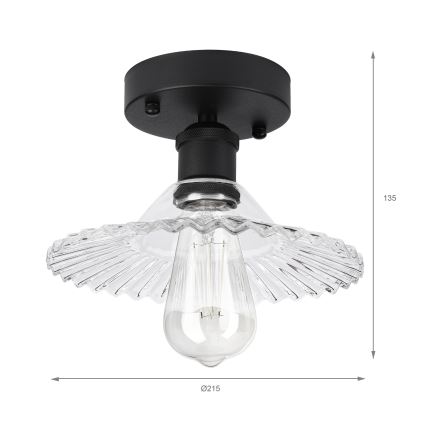 Plafonnier TRISH 1xE27/15W/230V noir/transparent