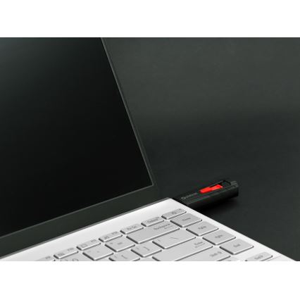 Portatile SSD guida 250 GB USB 3.2 Gen2