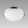 Prezent 1518 - Vetro di ricambio per lampada da soffitto LUNA E27