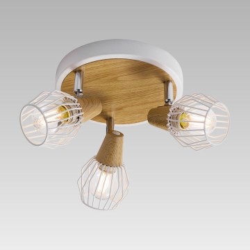 Prezent 27505 - Luce Spot da soffitto TAMETA 3xE14/40W/230V