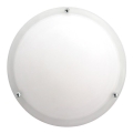 Prezent 423 - Verre de rechange pour plafonnier NEPTUN E27