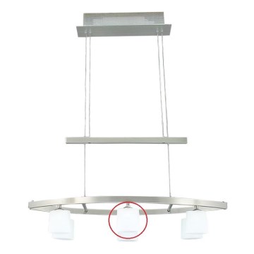 Prezent 426 - Ersatzglas für Hängeleuchte MATRIX