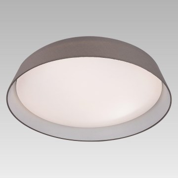 Prezent 45130 - Plafoniera LED VASCO LED/24W/230V