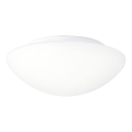 Prezent 45138 - Plafonnier LED ASPEN pour salle de bains, 12W, 230V, IP44