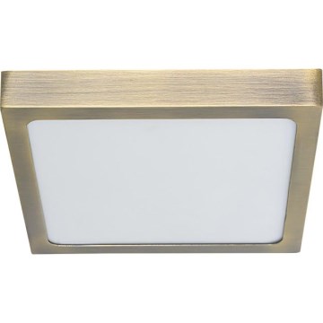 Prezent 49062 - Plafonnier LENYS LED/9W/230V 4000K 12x12 cm laiton