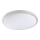 Prezent 71339 - LED-dimmbare Deckenleuchte AMBIA LED/30W/230V 3000/4000/6500K Ø 39,5 cm klar