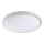Prezent 71340 - LED dimmbare Deckenleuchte AMBIA LED/40W/230V 3000/4000/6500K Ø 49,5 cm klar