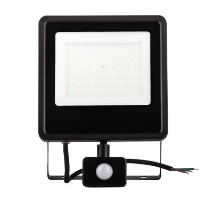 Proiettore da esterno a LED con sensore LED/30W/230V 4000K IP65 nero